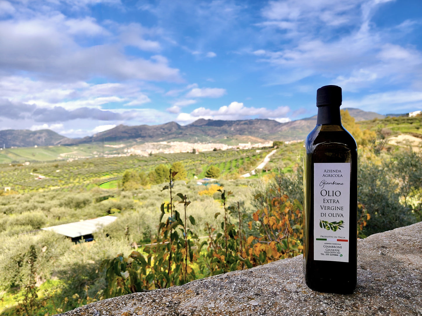 Organic Sicilian Extra Virgin Olive Oil — 750ml (2025 Harvest)