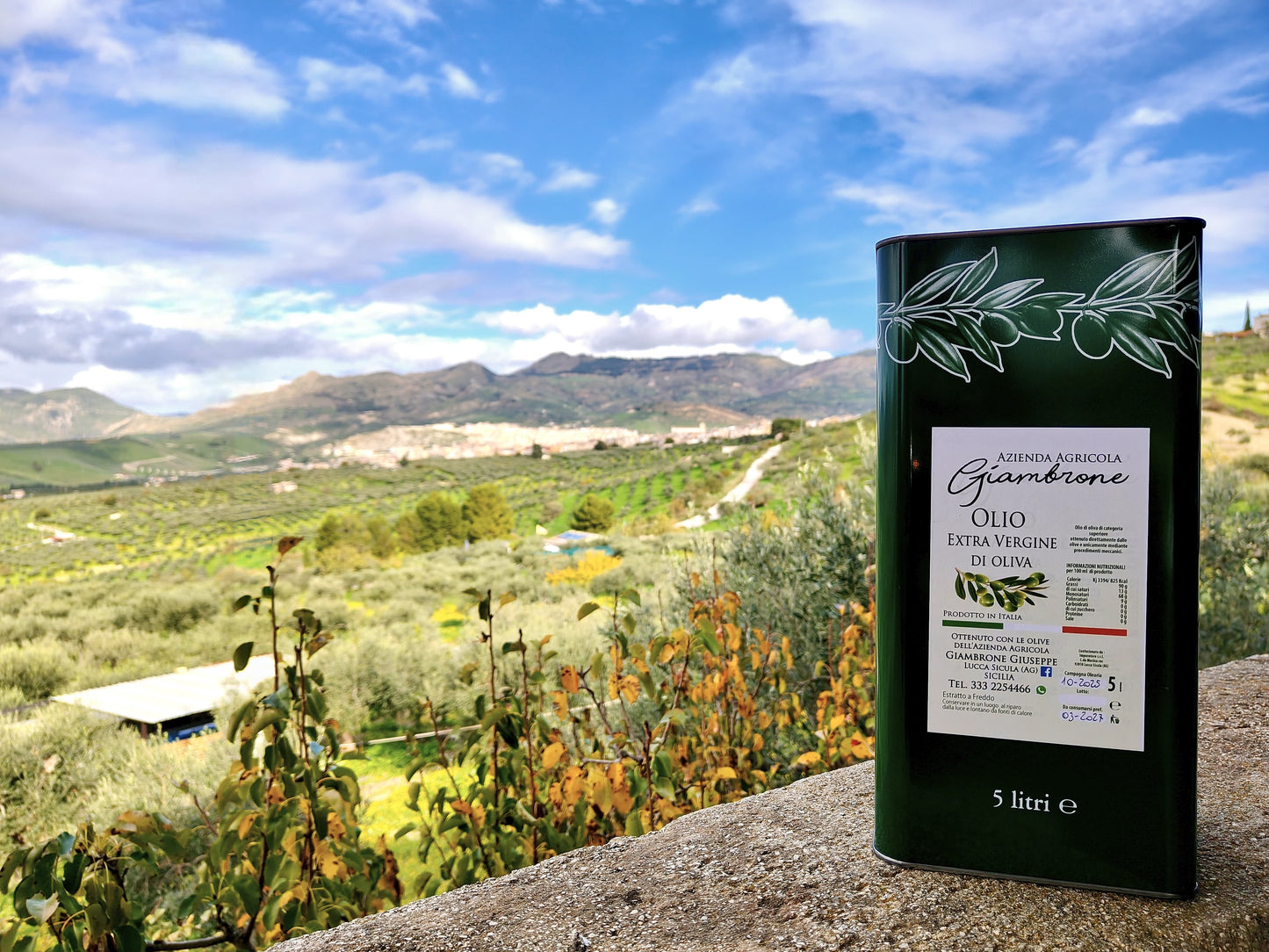 Organic Sicilian Extra Virgin Olive Oil — 5L Tin (2025 Harvest)