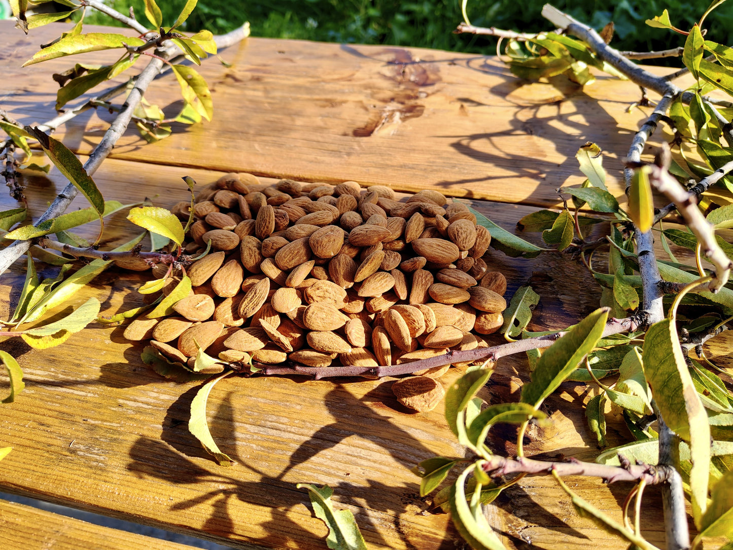 Sicilian Almonds — 300g (Naturally Grown - 2025 Harvest)
