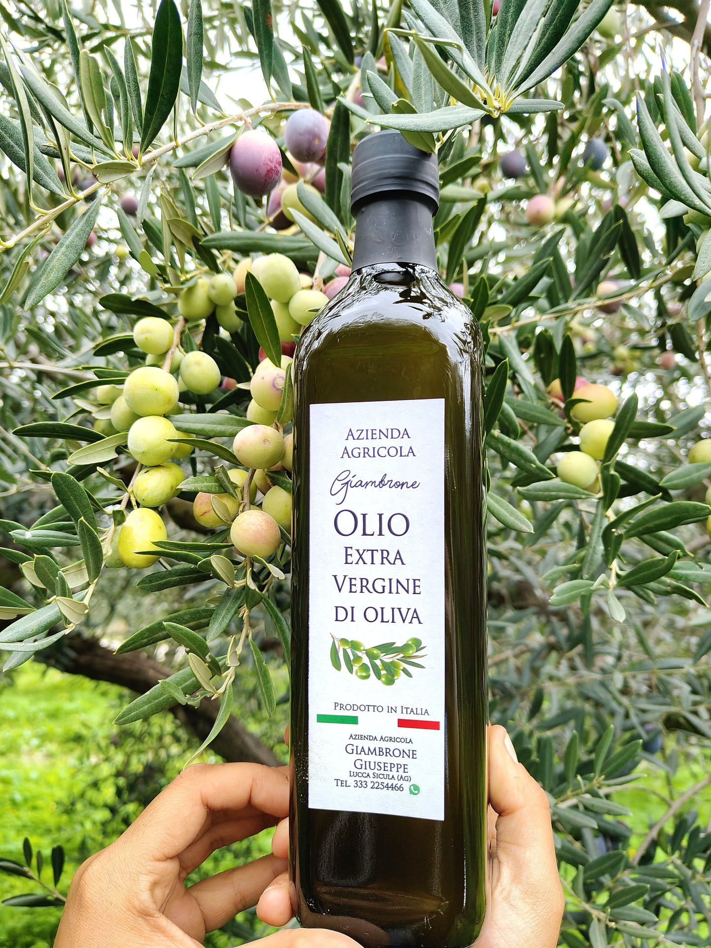 Organic Sicilian Extra Virgin Olive Oil — 750ml (2025 Harvest)