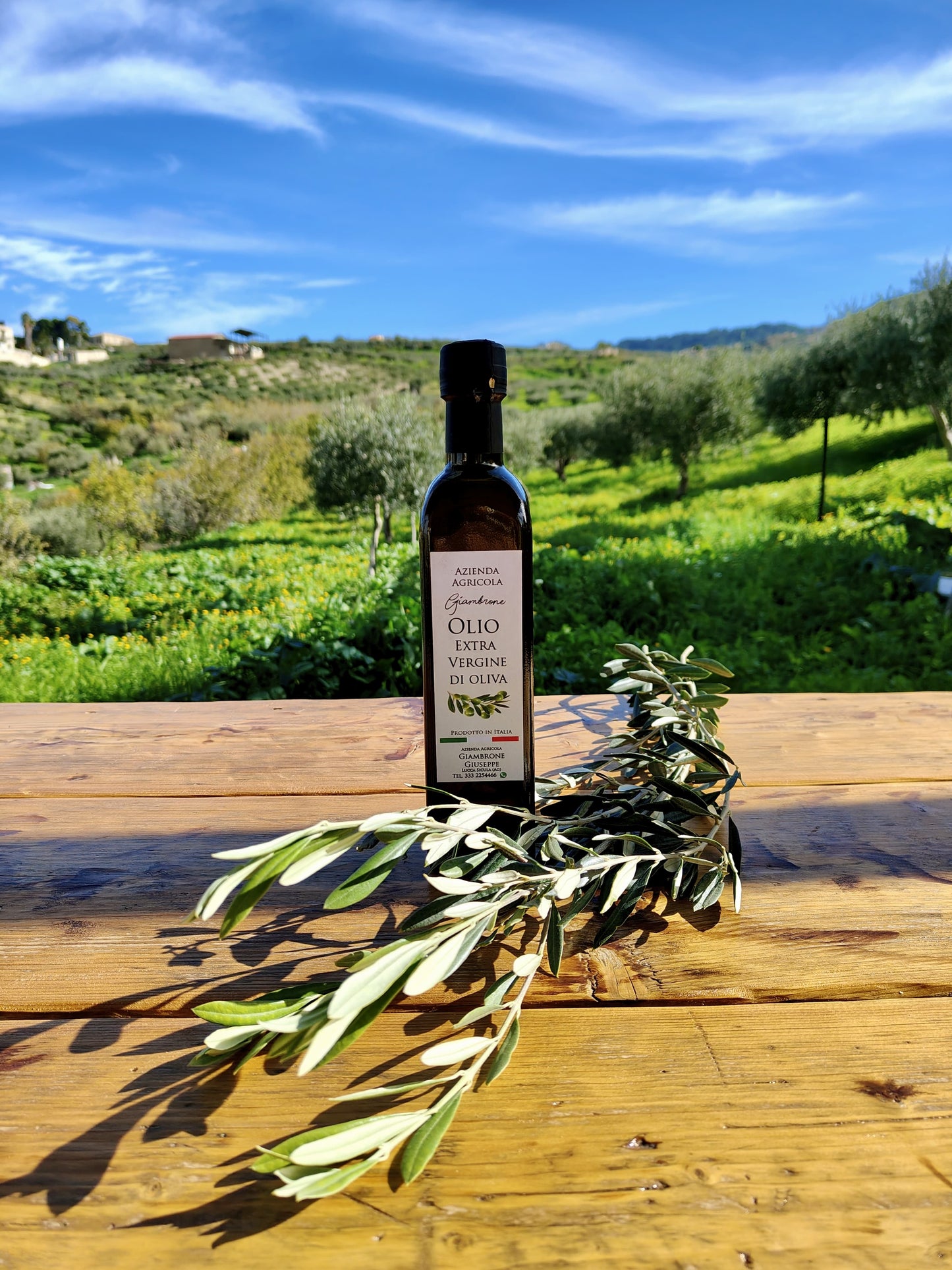 Organic Sicilian Extra Virgin Olive Oil — 500ml (2025 Harvest)