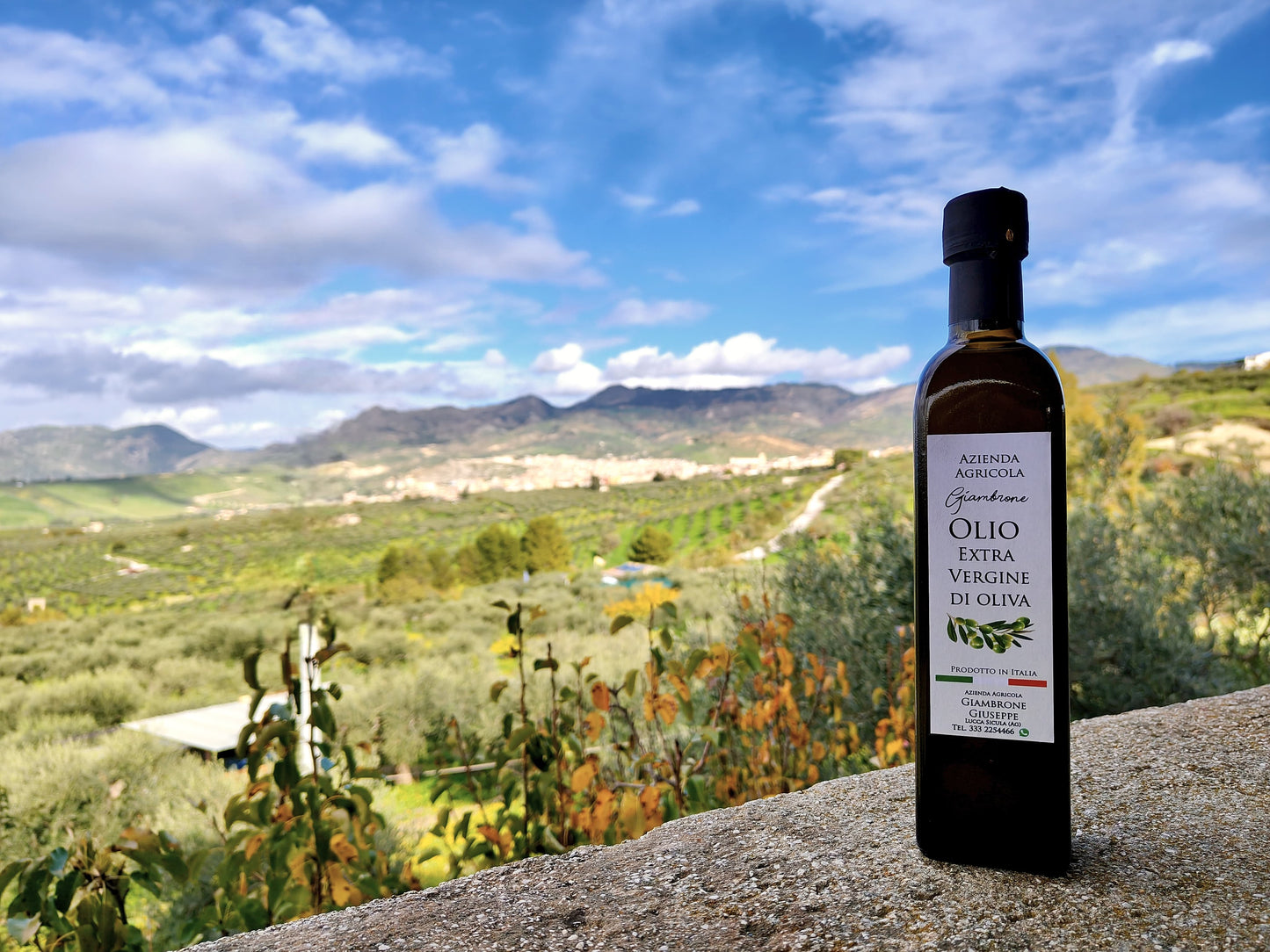 Organic Sicilian Extra Virgin Olive Oil — 500ml (2025 Harvest)
