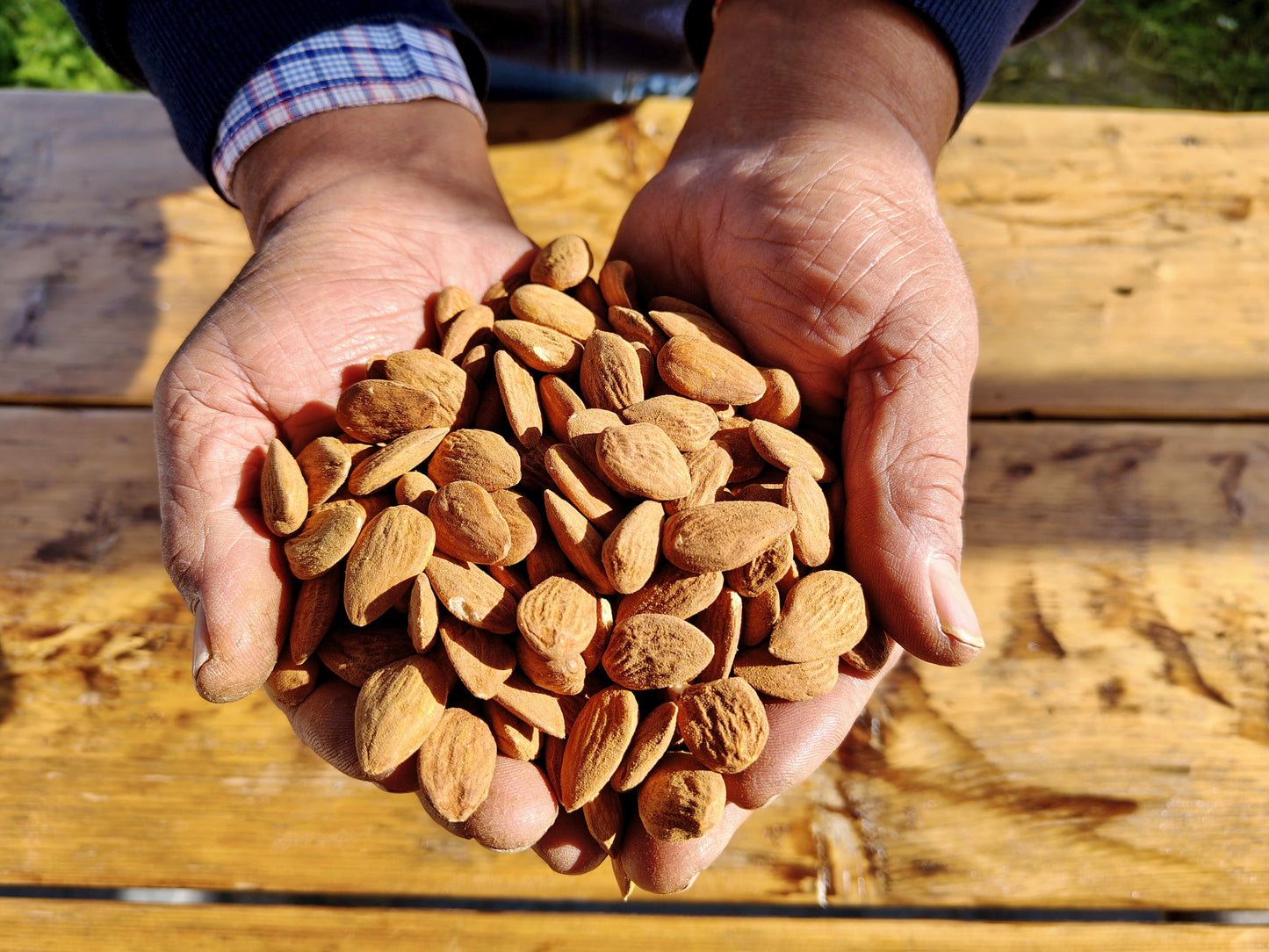 Sicilian Almonds — 300g (Naturally Grown - 2025 Harvest)