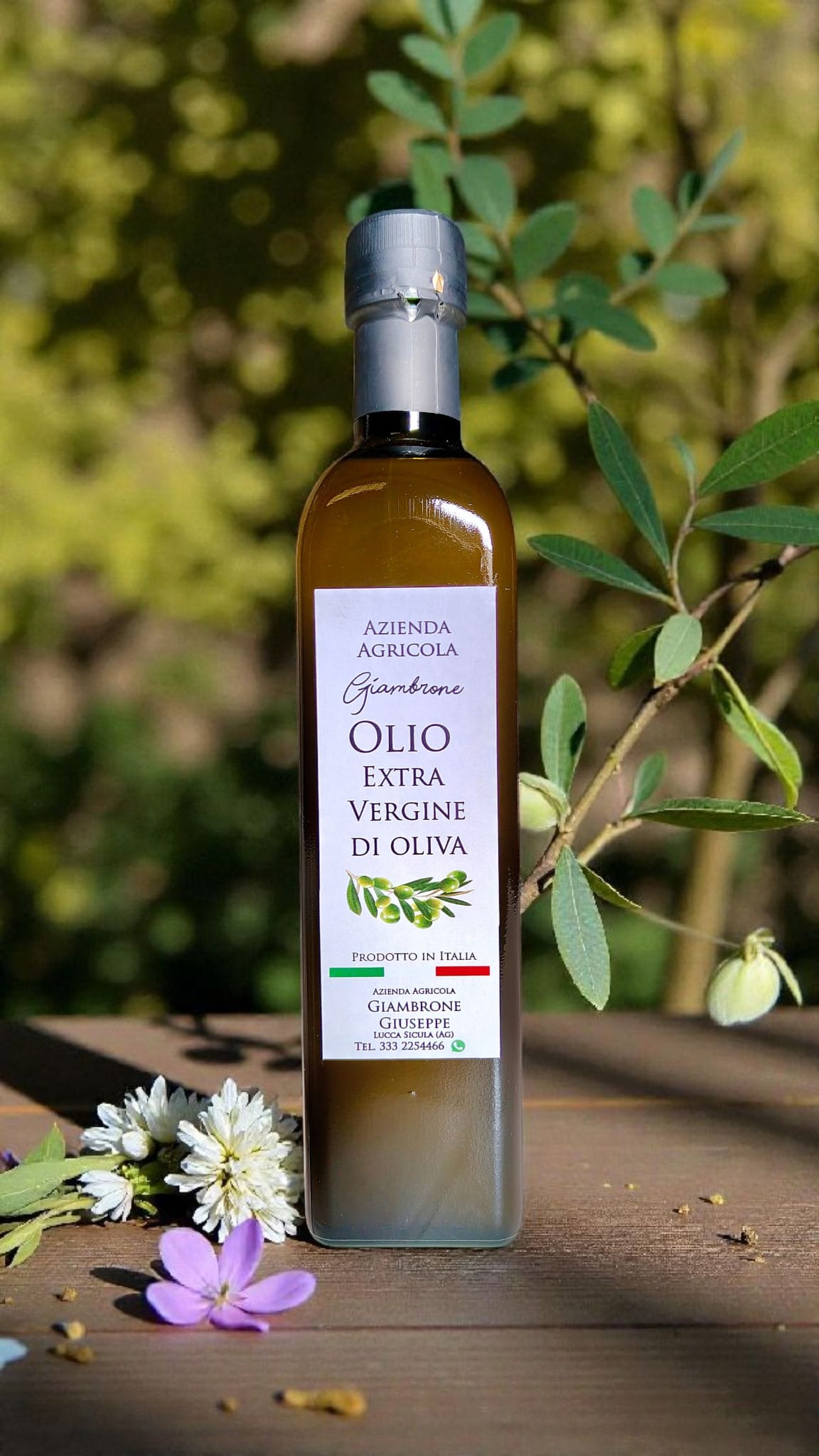 Organic Sicilian Extra Virgin Olive Oil — 500ml (2025 Harvest)